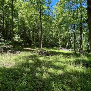 Photo #13 of JORDAN HOLLOW RD, STANLEY, VA 56.6 acres