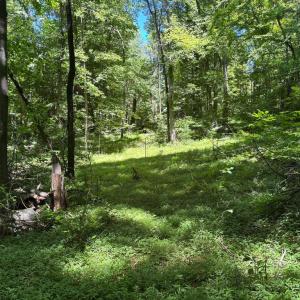 Photo #14 of JORDAN HOLLOW RD, STANLEY, VA 56.6 acres