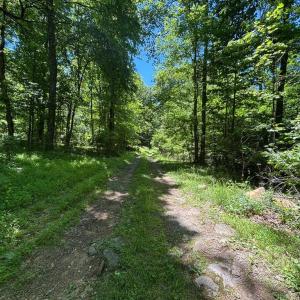 Photo #16 of JORDAN HOLLOW RD, STANLEY, VA 56.6 acres