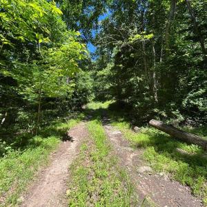 Photo #17 of JORDAN HOLLOW RD, STANLEY, VA 56.6 acres
