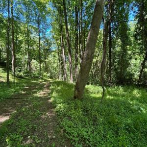 Photo #19 of JORDAN HOLLOW RD, STANLEY, VA 56.6 acres