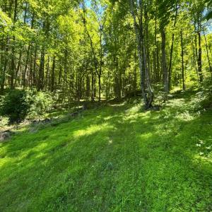 Photo #20 of JORDAN HOLLOW RD, STANLEY, VA 56.6 acres