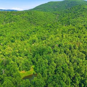 Photo #25 of JORDAN HOLLOW RD, STANLEY, VA 56.6 acres