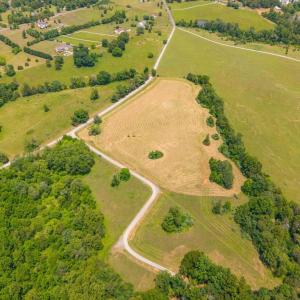Photo #8 of 48 BALD EAGLE TRL, CULPEPER, VA 11.0 acres