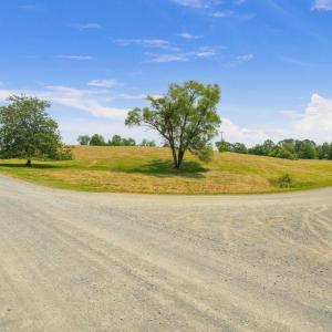 Photo #10 of 48 BALD EAGLE TRL, CULPEPER, VA 11.0 acres
