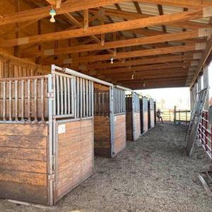 paddocks