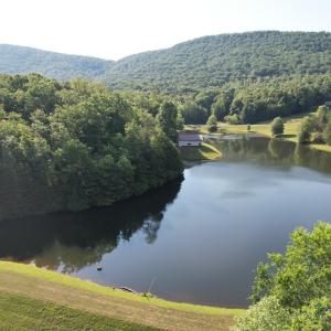 DJI_0570