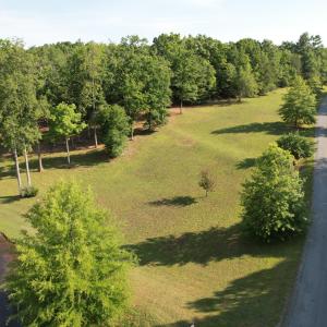 DJI_0577