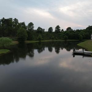 DJI_0611