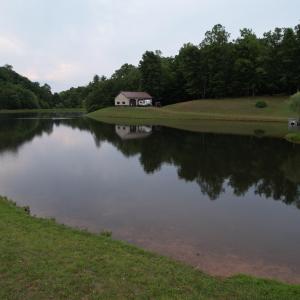 DJI_0613