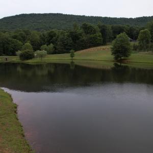 DJI_0615