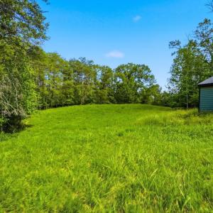 Photo #7 of CASTLE ROCK LN, CASTLETON, VA 25.1 acres