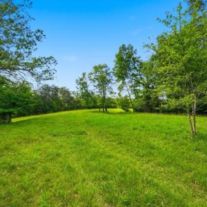Photo #8 of CASTLE ROCK LN, CASTLETON, VA 25.1 acres