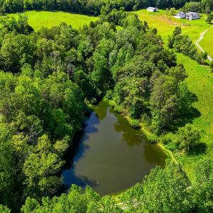 Photo #3 of CASTLE ROCK LN, CASTLETON, VA 25.1 acres