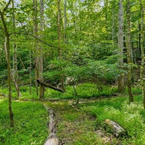 Photo #10 of CASTLE ROCK LN, CASTLETON, VA 25.1 acres