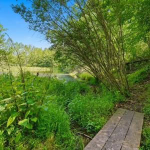 Photo #12 of CASTLE ROCK LN, CASTLETON, VA 25.1 acres