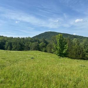 Photo #14 of CASTLE ROCK LN, CASTLETON, VA 25.1 acres