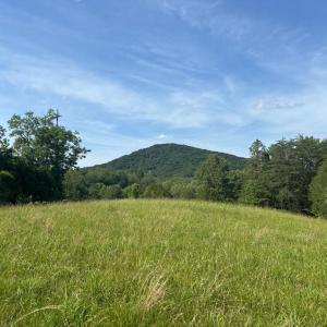 Photo #15 of CASTLE ROCK LN, CASTLETON, VA 25.1 acres