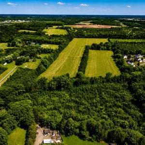 Photo #4 of 11880 REMINGTON RD, REMINGTON, VA 31.8 acres