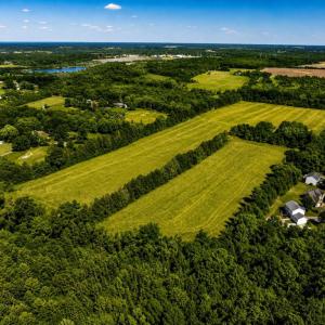 Photo #5 of 11880 REMINGTON RD, REMINGTON, VA 31.8 acres