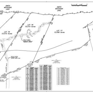 203023lot77survey_page_3_203023_S