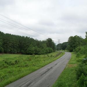 DJI_0089