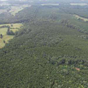 DJI_0092 (1)