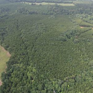 DJI_0094