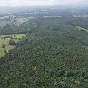DJI_0096