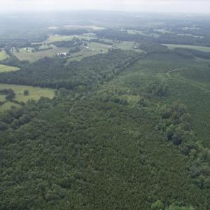 DJI_0097