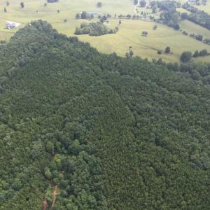 DJI_0098