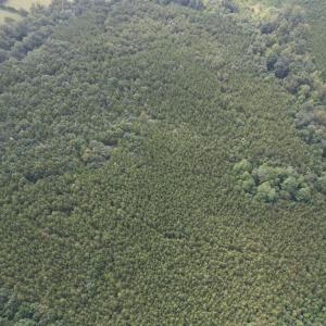 DJI_0099