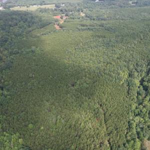 DJI_0101