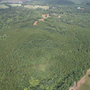 DJI_0103