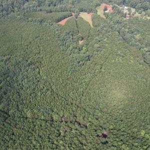 DJI_0104