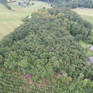 DJI_0107