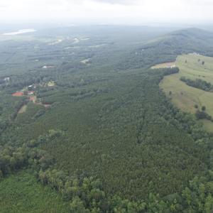 DJI_0109