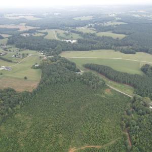 DJI_0110