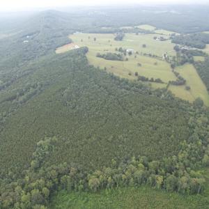 DJI_0111
