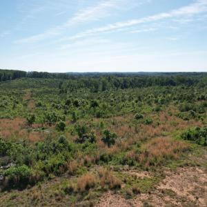 DJI_0534