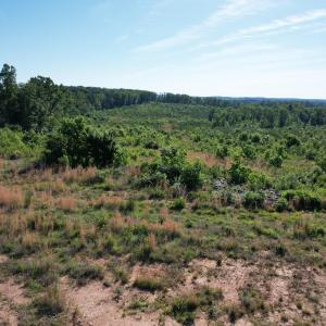 DJI_0530