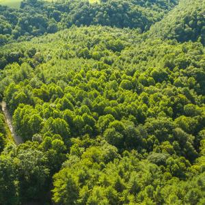 DJI_20260624175615_0985_D