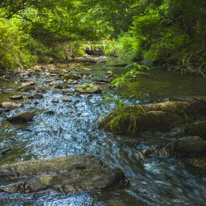 DJI_20260624181520_0994_D
