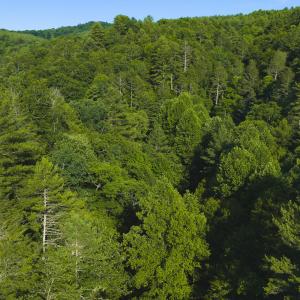 DJI_20260624181836_0002_D