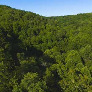 DJI_20260624181935_0005_D