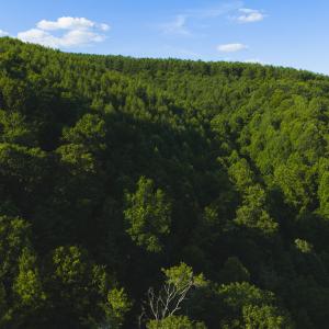 DJI_20260624181942_0006_D