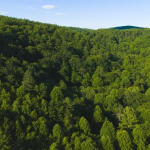 DJI_20260624182015_0007_D