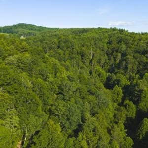 DJI_20260624182135_0011_D