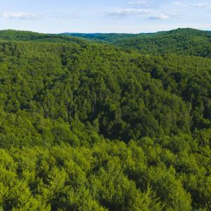 DJI_20260624182204_0012_D