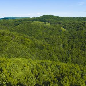 DJI_20260624182206_0013_D